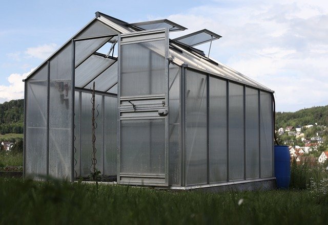 skleník na zahradě